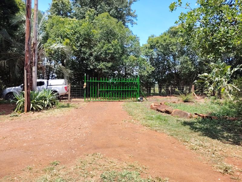 A rural property entrance featuring a green metal security gate, wire fencing, and a dirt driveway surrounded by mature trees.