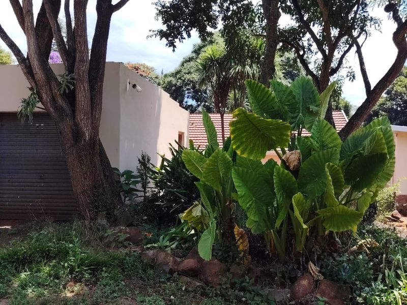 A view of the garden area featuring mature trees, large foliage, and a stone-bordered garden bed adjacent to the garage structure.