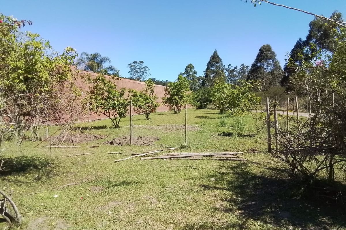 Prime 23.6ha Multi-Income Investment Estate Near N2 - Photo 5