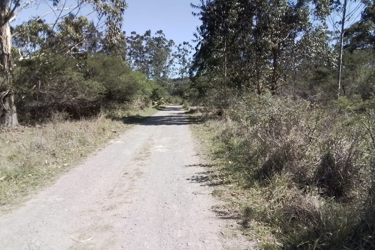 Prime 23.6ha Multi-Income Investment Estate Near N2 - Photo 3