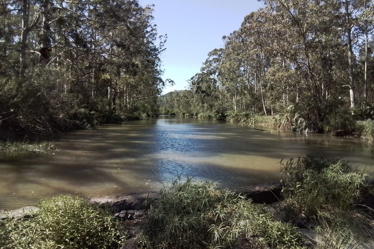 Prime 23.6ha Multi-Income Investment Estate Near N2 - Photo 2