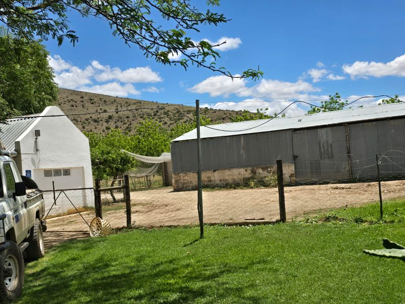 Karoo Plot for Sale – Prime Opportunity Near Cradock - Photo 8