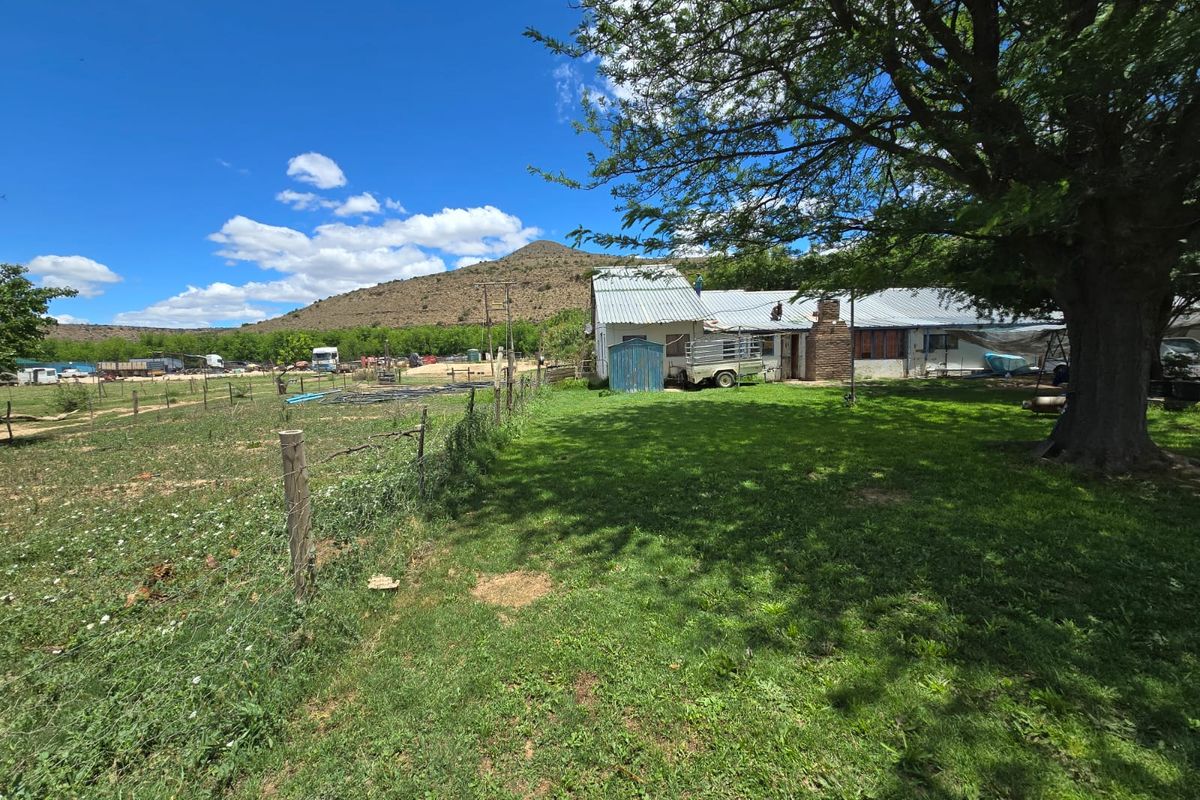 Karoo Plot for Sale – Prime Opportunity Near Cradock - Photo 3