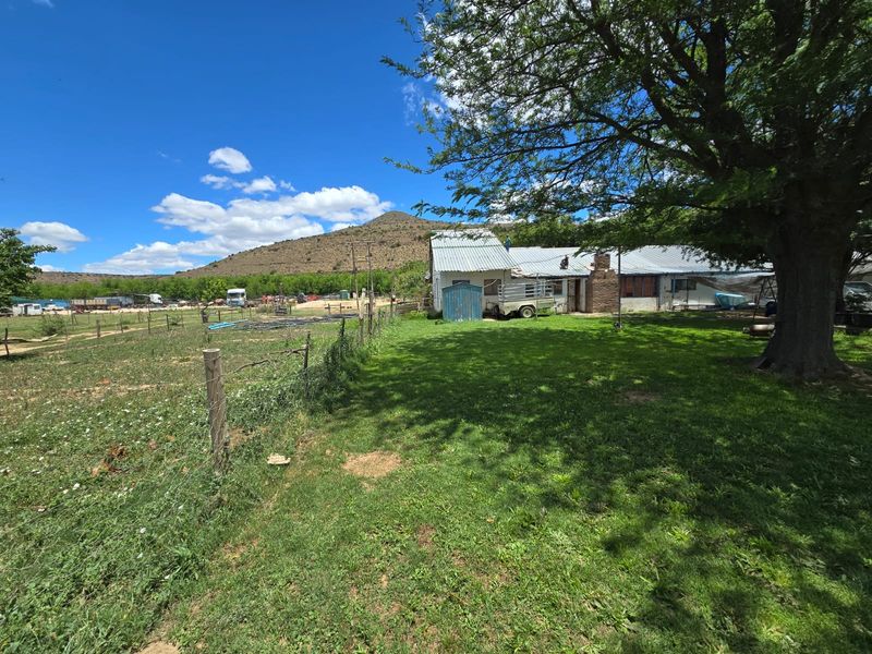 Karoo Plot for Sale – Prime Opportunity Near Cradock - Photo 3