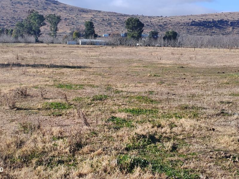 Karoo Plot for Sale – Prime Opportunity Near Cradock - Photo 10