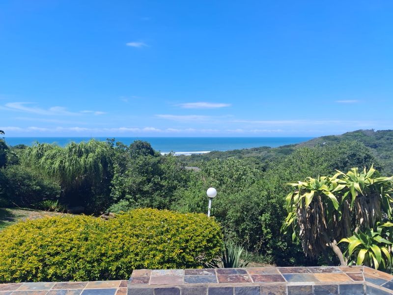 Self-Catering apartment for single professional - unit 1 – exclusive Cove rock estate - Photo 3