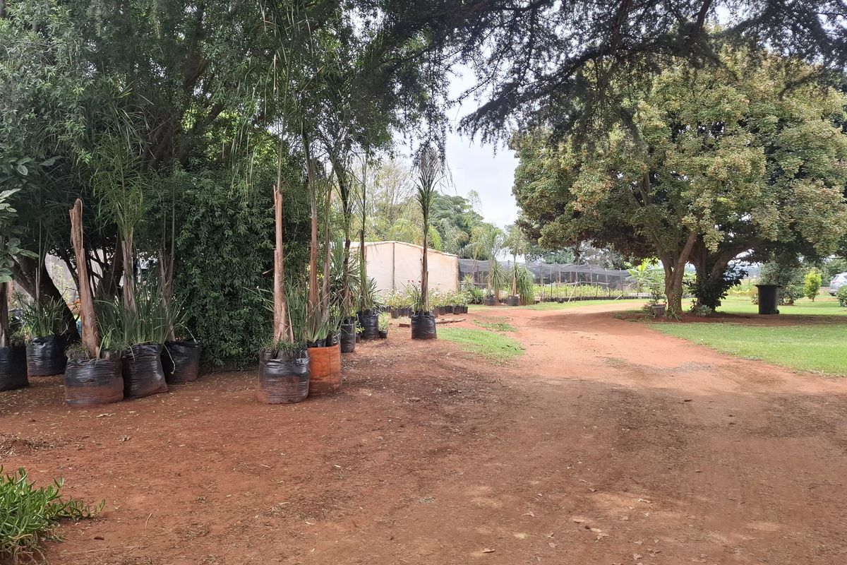 PRIME 1 HECTARE DEVELOPMENT Opportunity in Benoni North AH - Photo 4