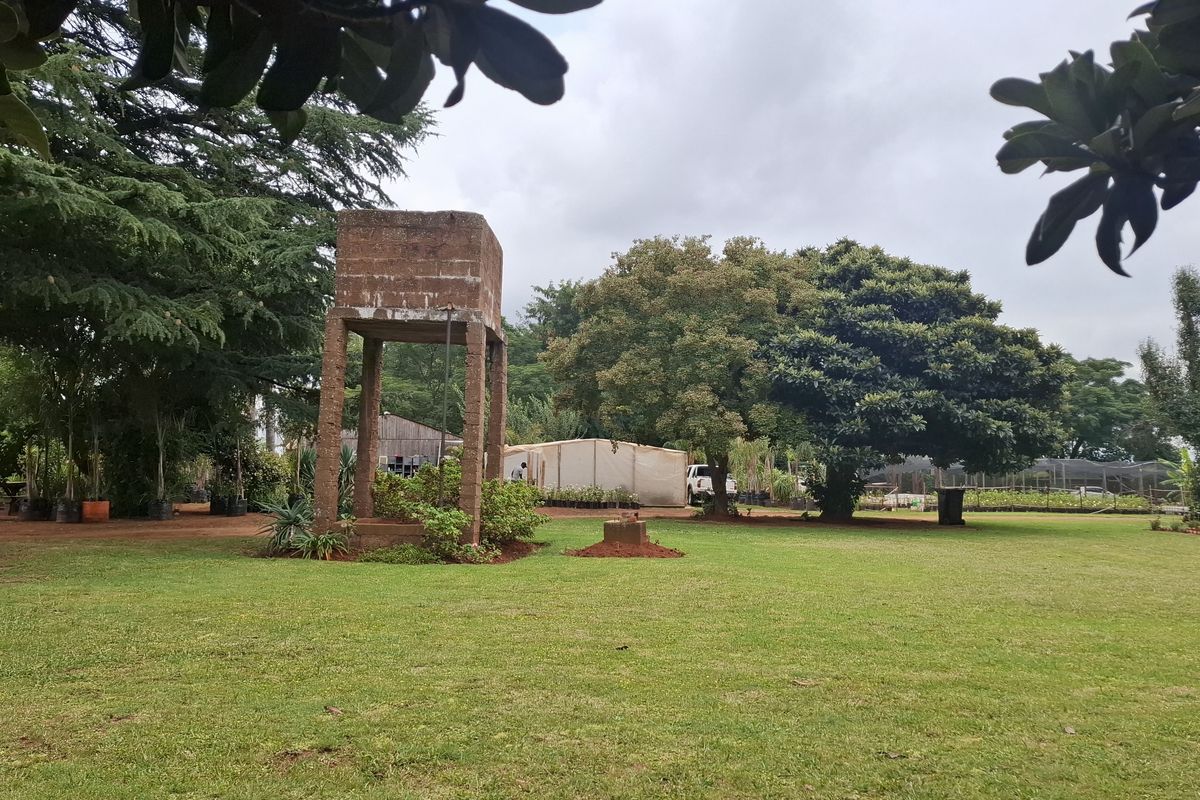 PRIME 1 HECTARE DEVELOPMENT Opportunity in Benoni North AH - Photo 3