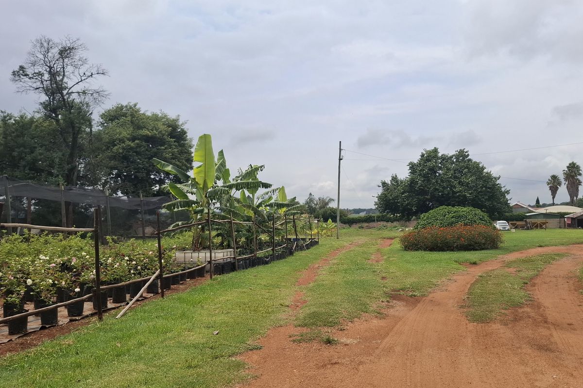 PRIME 1 HECTARE DEVELOPMENT Opportunity in Benoni North AH - Photo 5