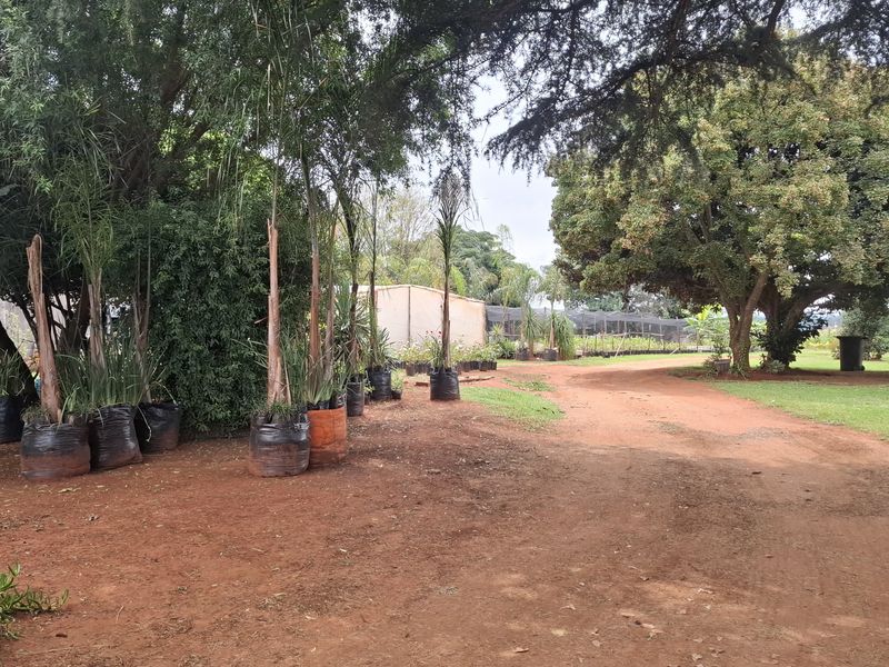 A view of the property grounds featuring a large unpaved driveway, mature trees, and established garden areas on a small holding.