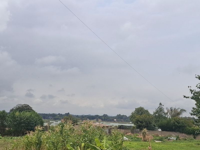 A scenic view of the surrounding landscape and vegetation on the small holding property.