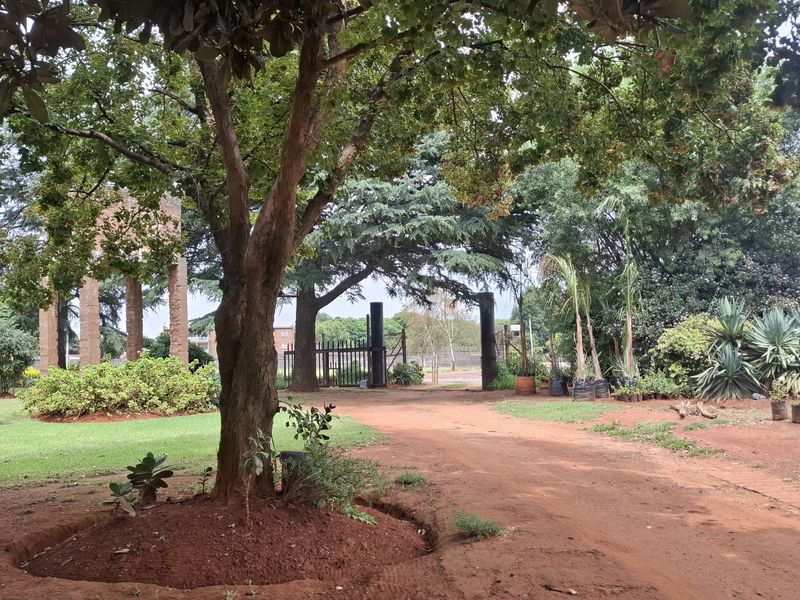 A view of the property entrance featuring a metal gate, brick pillars, and a mature garden with a dirt driveway.
