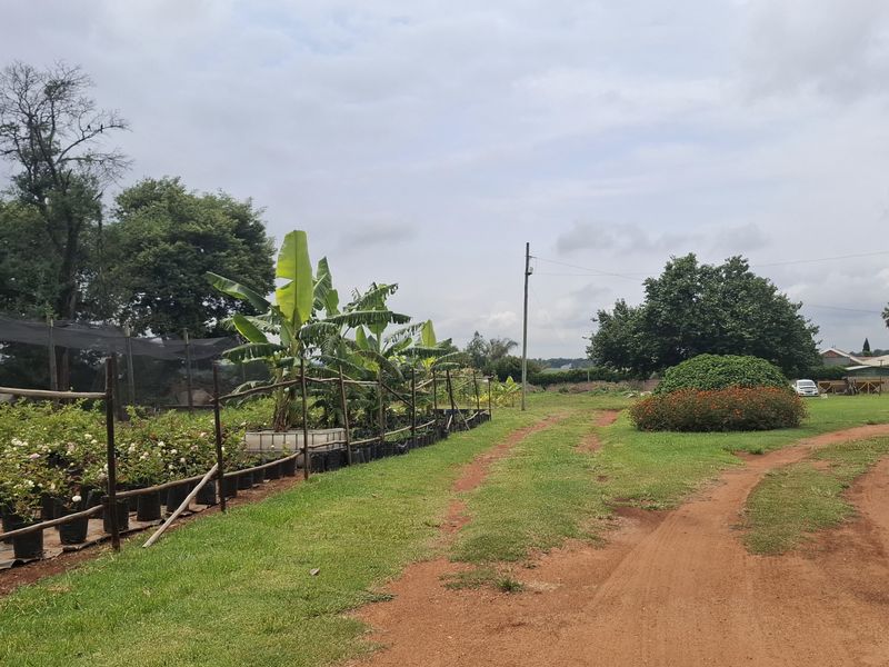 Expansive small holding grounds featuring a dirt driveway, established garden beds, and nursery cultivation area under shade netting.