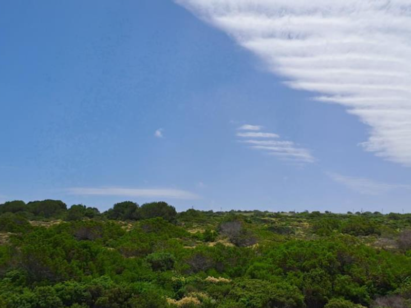 Prime Vacant Land for Sale in Jongensfontein - Photo 8