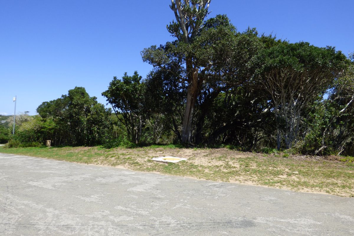 Build Your Coastal Escape in Kleinemonde - Photo 3