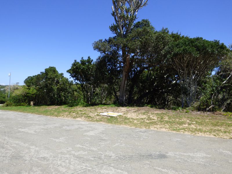 Build Your Coastal Escape in Kleinemonde - Photo 3