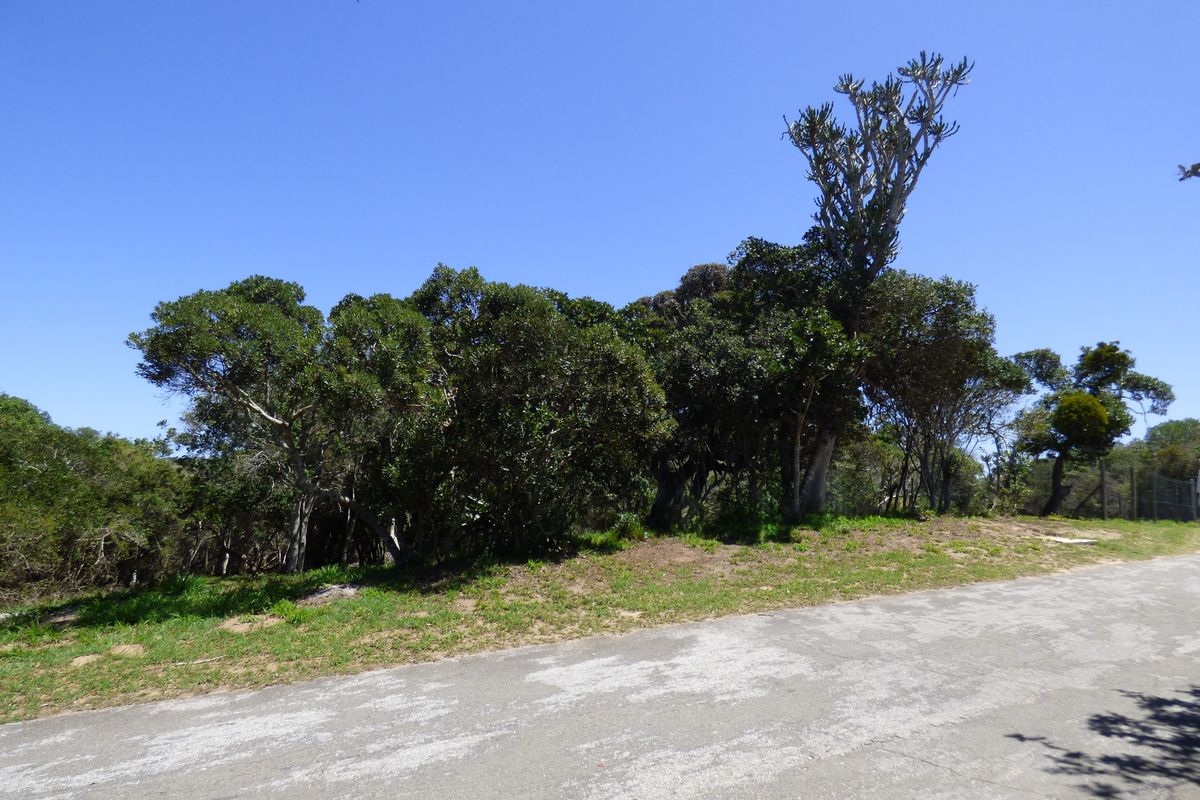 Build Your Coastal Escape in Kleinemonde - Photo 2