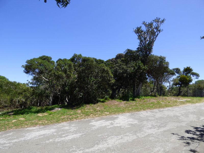 Build Your Coastal Escape in Kleinemonde - Photo 2