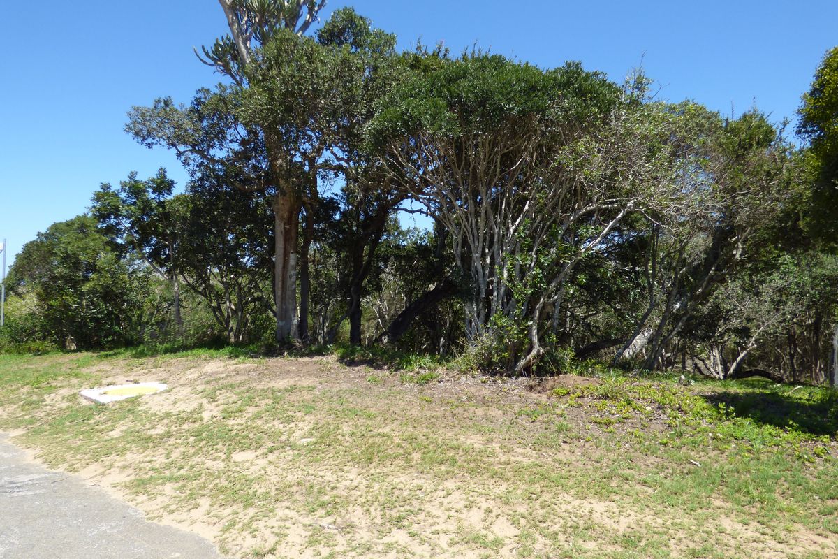 Build Your Coastal Escape in Kleinemonde - Photo 4