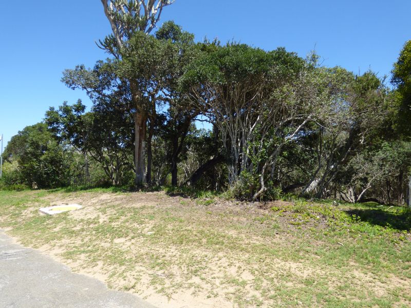 Build Your Coastal Escape in Kleinemonde - Photo 4