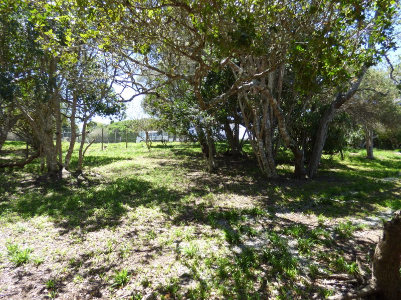 Build Your Coastal Escape in Kleinemonde - Photo 6