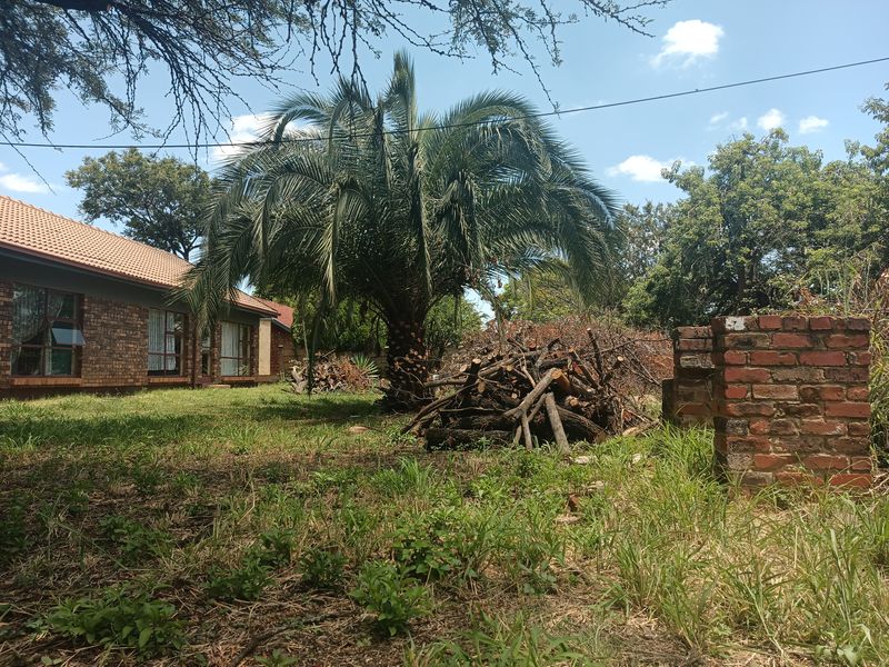 Rear view of a brick house featuring a tiled roof and aluminum windows, set within a large garden area with mature palm tree.