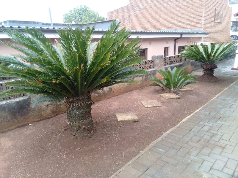 Modern 3-Bedroom Family Home – Move-In Ready - Photo 3