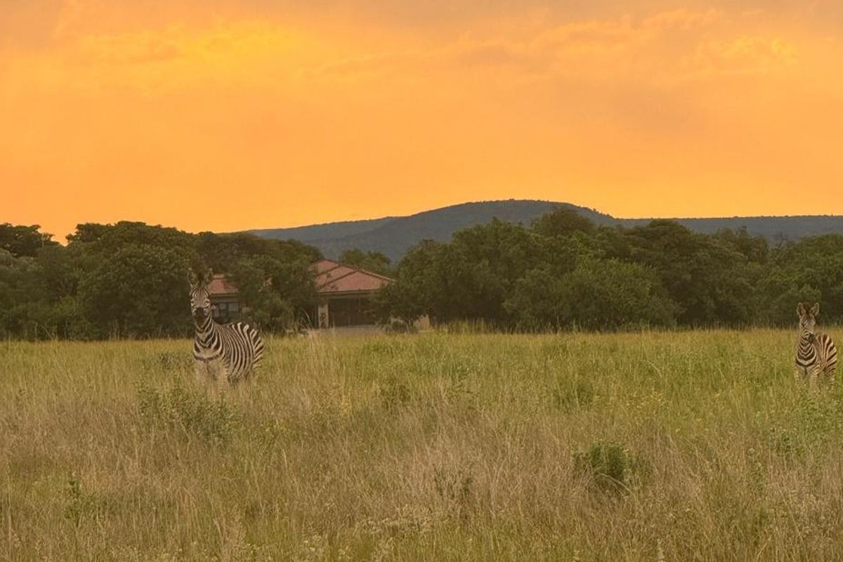 Foundations laid in Stunning Eco Estate - Photo 2