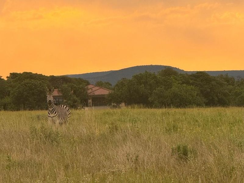 Foundations laid in Stunning Eco Estate - Photo 2