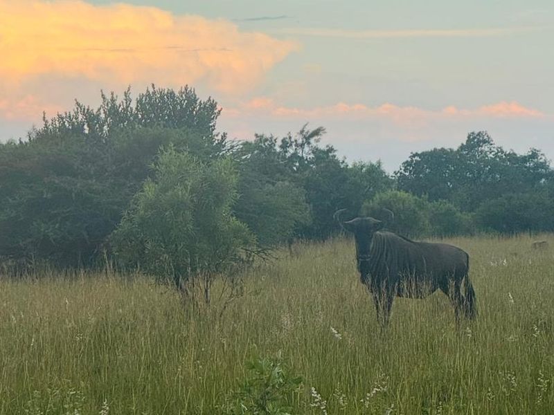Foundations laid in Stunning Eco Estate - Photo 9