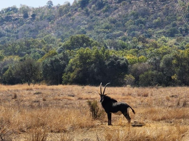 Foundations laid in Stunning Eco Estate - Photo 6