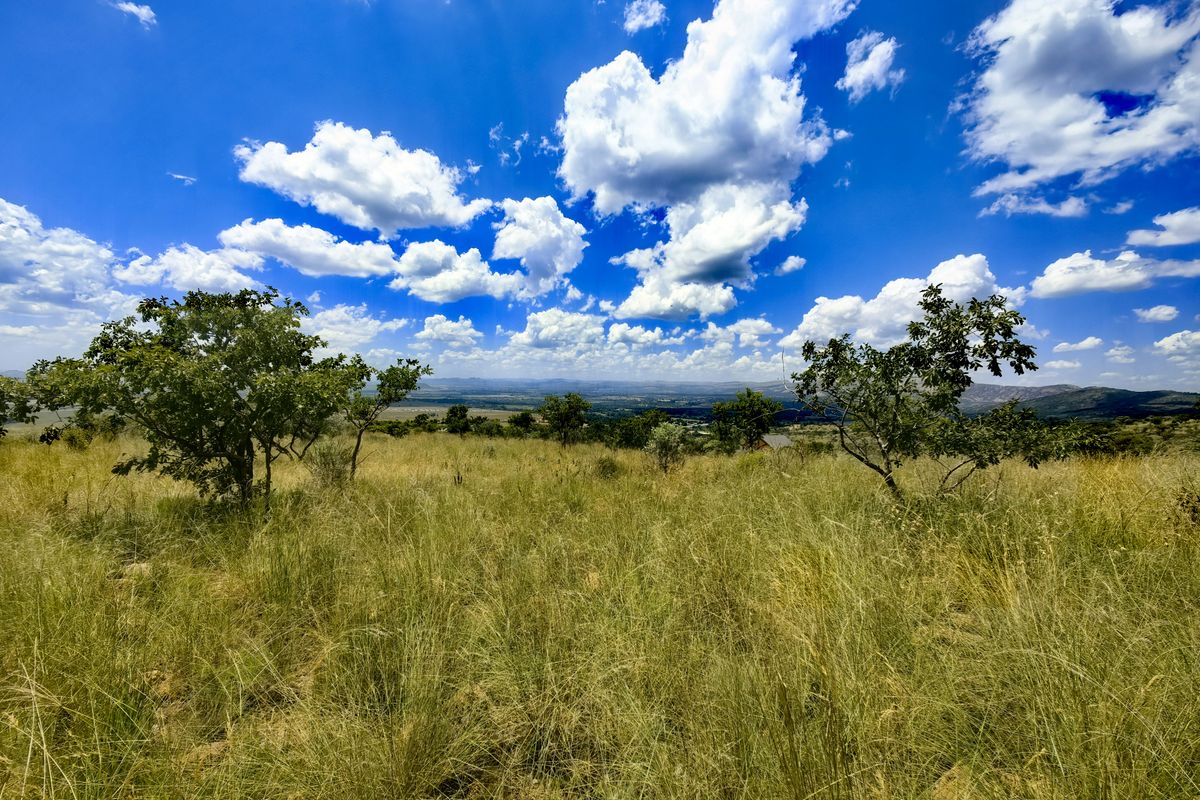 A scenic view of the expansive natural landscape, featuring native trees and grassland under a bright blue sky.