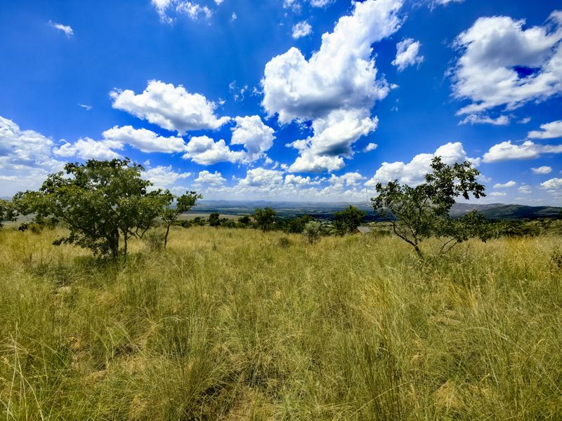 A scenic view of the expansive natural landscape, featuring native trees and grassland under a bright blue sky.