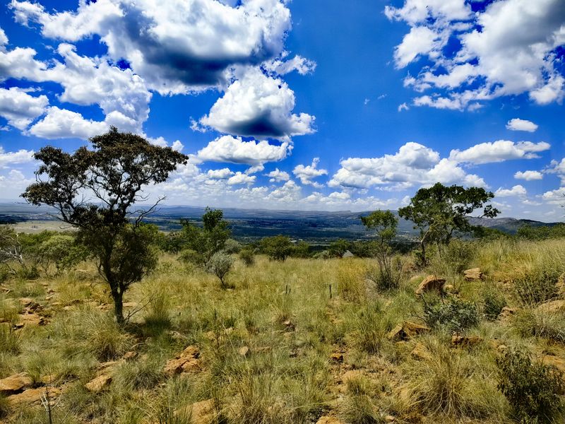 A scenic, elevated view overlooking a vast natural landscape with native trees and grasses under a bright, cloudy sky.