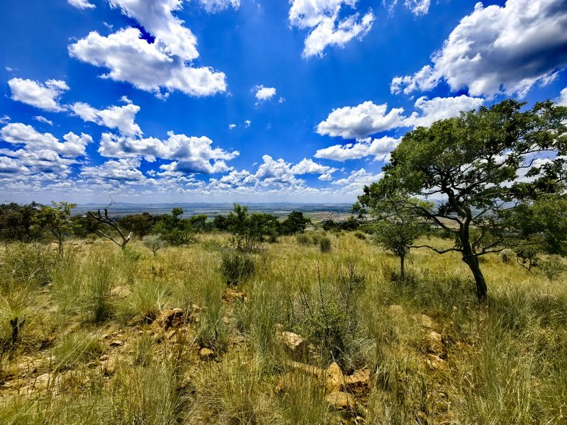 A scenic, elevated view overlooking natural landscape, native vegetation, and distant horizon under a bright blue sky.