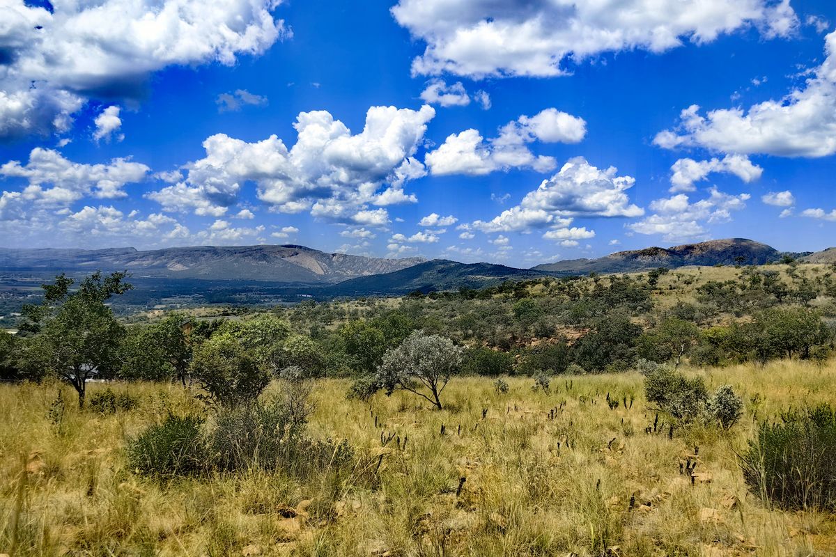A scenic view of the natural landscape, featuring rolling hills and native vegetation under a bright blue sky.
