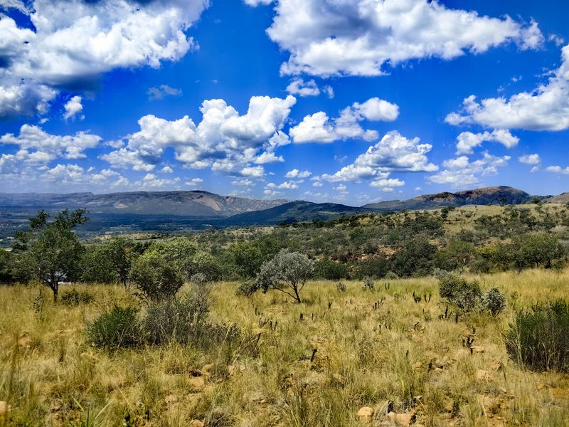 A scenic view of the natural landscape, featuring rolling hills and native vegetation under a bright blue sky.