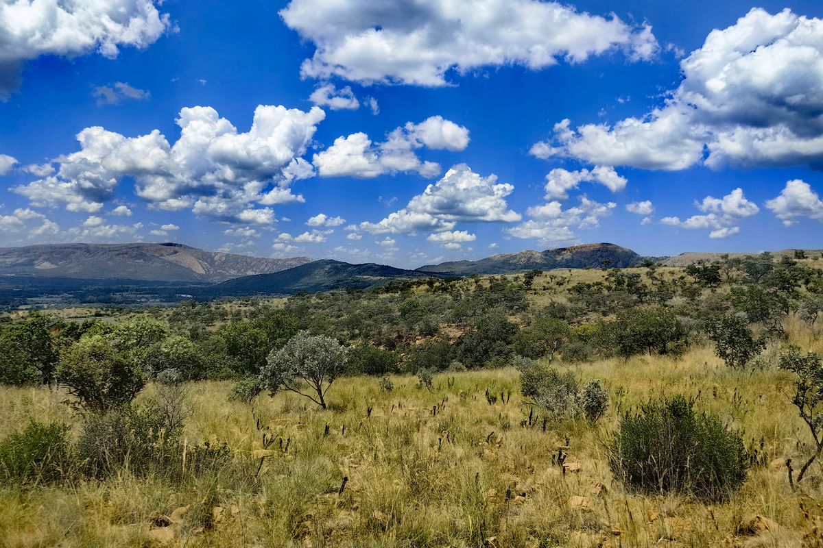 A scenic, elevated view of the natural landscape featuring rolling hills, native vegetation, and a clear blue sky.