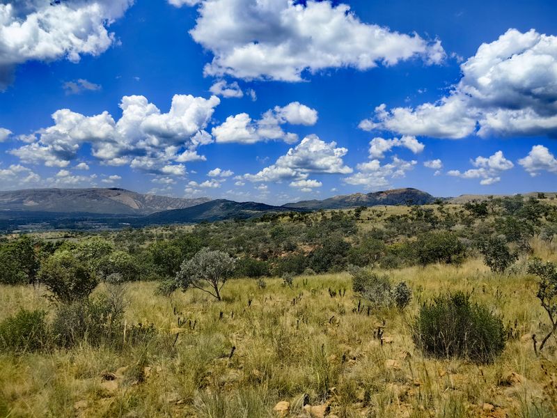 A scenic, elevated view of the natural landscape featuring rolling hills, native vegetation, and a clear blue sky.