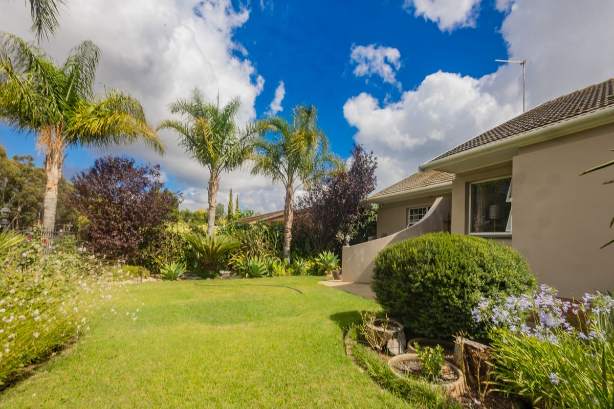 A well-maintained rear garden featuring a lush lawn, mature palm trees, and a paved patio area adjacent to the house.