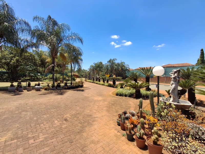 A spacious, well-maintained garden area featuring extensive brick paving, mature palm trees, and established landscaping with garden lighting.