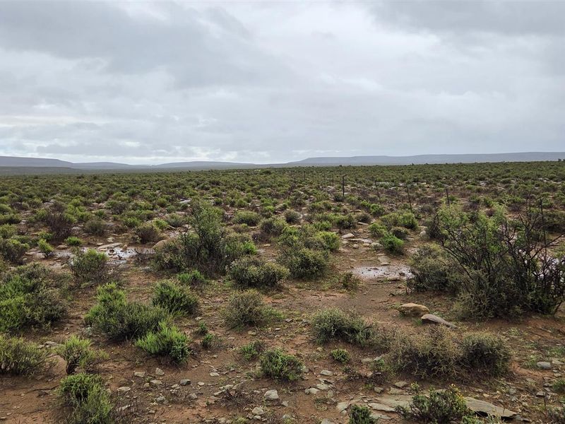 FRASERBURG SHEEP/GAME FARM WITH TOURISM POTENTIAL - Photo 4