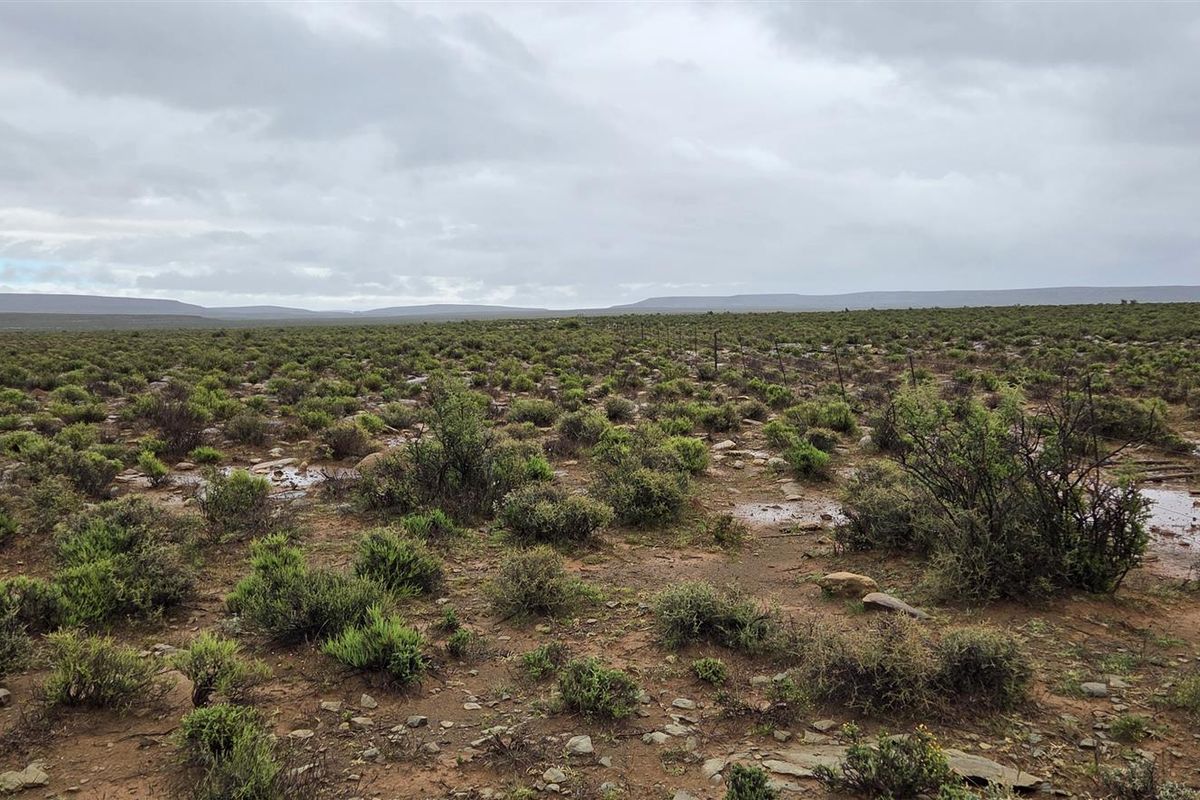 FRASERBURG SHEEP/GAME FARM WITH TOURISM POTENTIAL - Photo 4