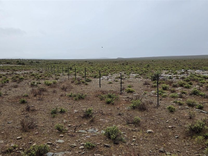 FRASERBURG SHEEP/GAME FARM WITH TOURISM POTENTIAL - Photo 8