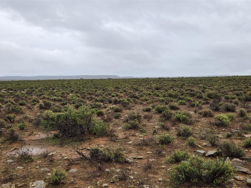 FRASERBURG SHEEP/GAME FARM WITH TOURISM POTENTIAL - Photo 7