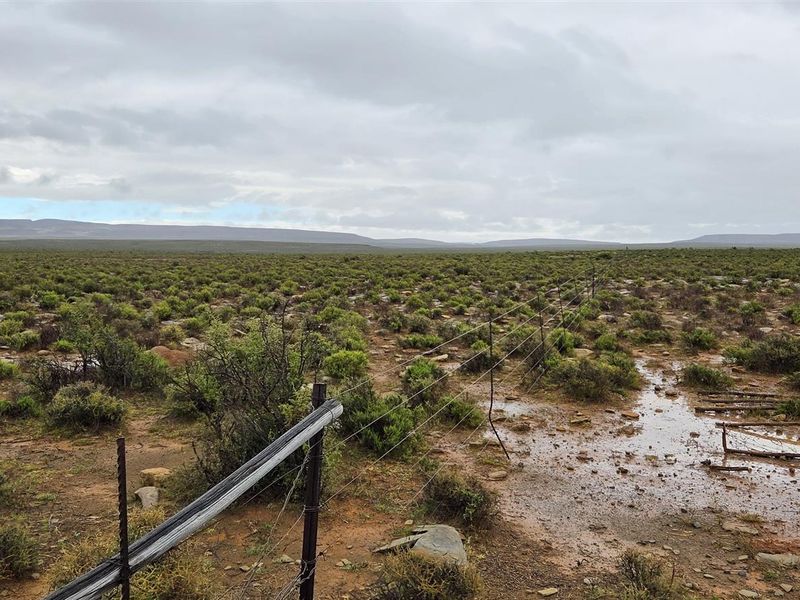 FRASERBURG SHEEP/GAME FARM WITH TOURISM POTENTIAL - Photo 6