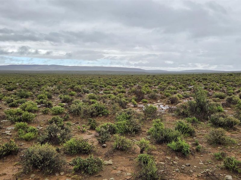 FRASERBURG SHEEP/GAME FARM WITH TOURISM POTENTIAL - Photo 5