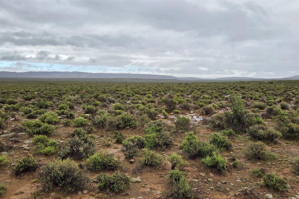 FRASERBURG SHEEP/GAME FARM WITH TOURISM POTENTIAL - Photo 5