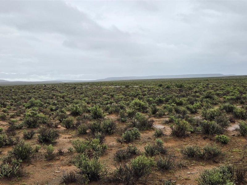 FRASERBURG SHEEP/GAME FARM WITH TOURISM POTENTIAL - Photo 3