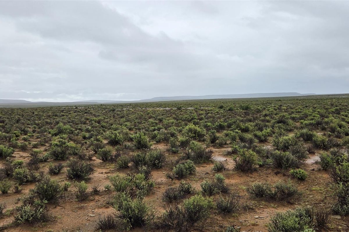 FRASERBURG SHEEP/GAME FARM WITH TOURISM POTENTIAL - Photo 3